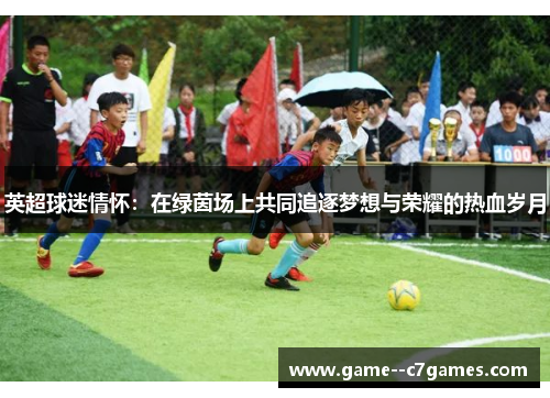 英超球迷情怀：在绿茵场上共同追逐梦想与荣耀的热血岁月