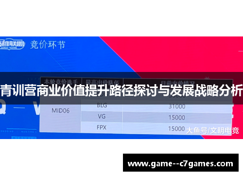 青训营商业价值提升路径探讨与发展战略分析